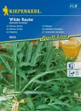 rukola-wilde-rauke-8565-st