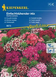 gozdzik-brodaty-einfachbluhende-mischung-8673