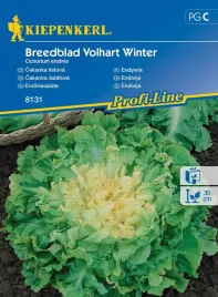 endywia-breedblad-volhart-winter-8131-st