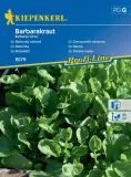 gorczycznik-wiosenny-barbarakraut-8079-st