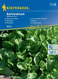 gorczycznik-wiosenny-barbarakraut-8079-st