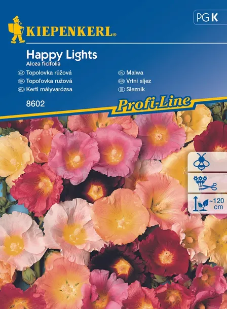 malwa-happy-lights-8602