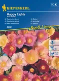 malwa-happy-lights-8602