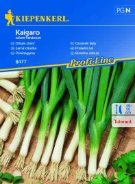 czosnek-dety-kaigaro-8477-st