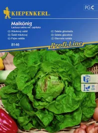 salata-glowiasta-may-king-8146-st