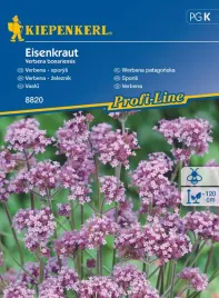 werbena-patagonska-8820