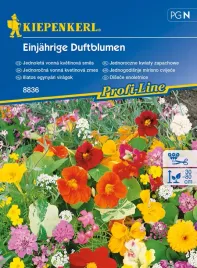 jednoroczne-kwiaty-pachnace-8836