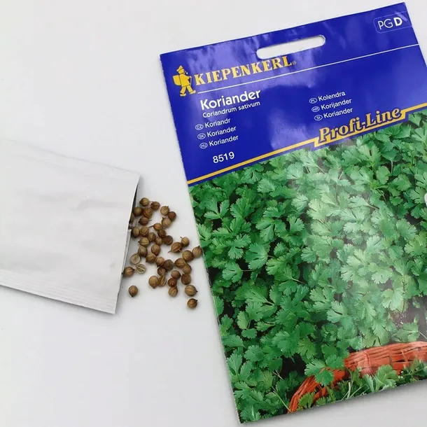 kolendra-8519-st-rodzaj-rosliny-inny