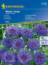 chaber-blawatek-blauer-hunge-niebieski-8641