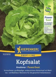 salata-maslowa-analena-powersaat-1020810-st