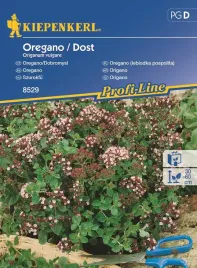 oregano-wieloletnie-8529-st