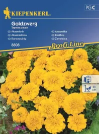 aksamitka-goldzwerg-8808