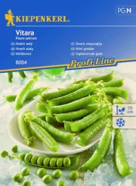 groch-zwyczajny-vitara-8054-st