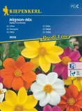 dalia-mignon-mix-8666