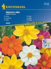 dalia-mignon-mix-8666