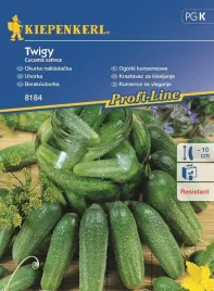 ogorek-gruntowy-twigy-f1-8184-st