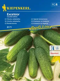 ogorek-konserwowy-excelsior-odporny-8171-st