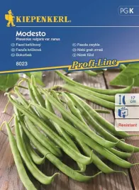 fasola-krzewiasta-modesto-8023-st
