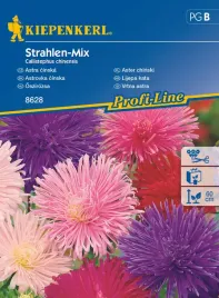 aster-chinski-strahlen-mix-8628