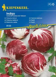 cykoria-salatowa-indigo-8132-st