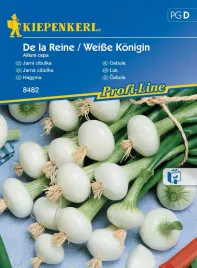 cebula-de-la-reine-weisse-konigin-8482-st