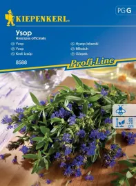 hyzop-lekarski-ysop-8588-st
