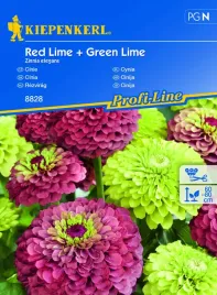 cynia-red-lime-green-lime-8828