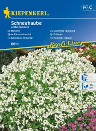 gesiowka-kaukaska-8611