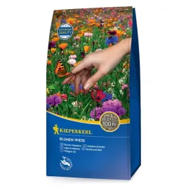 kiepenkerl-trawnik-z-kwiatami-1-kg