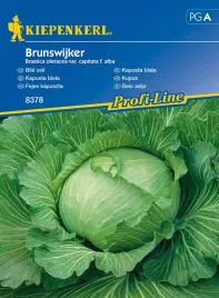 kapusta-biala-brunswijker-8378-st