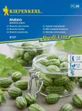 ogorek-meksykanski-mateo-8157-st