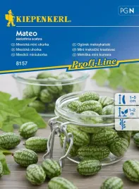 ogorek-meksykanski-mateo-8157-st