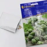 ogorek-meksykanski-mateo-8157-st-stan-nowy