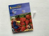 truskawka-elan-8156-st-stan-nowy