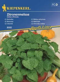 melisa-cytrynowa-wieloletnia-8592