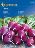 rzodkiewka-viola-8442-st