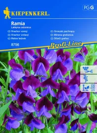 groszek-pachnacy-ramia-8756-st