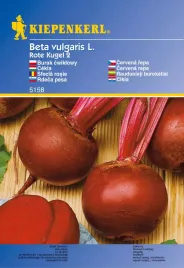 burak-cwiklowy-rote-kugel-8456-2-st