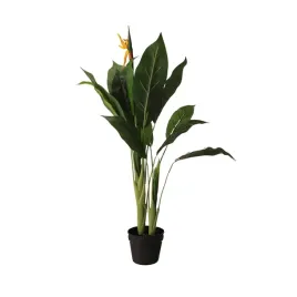 roslina-w-doniczce-jumi-kw-956537-sterlicja-100-cm