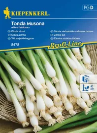 cebula-siedmiolatka-odmiana-zimowa-tonda-musona-8480-st