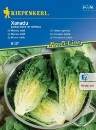 salata-xanadu-8137-st