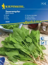 szczaw-zwyczajny-sauerampfer-8570-st