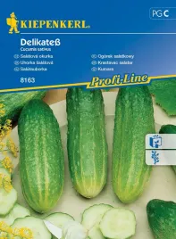 ogorek-salatkowy-delikatess-8163-st