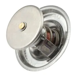 termostat-deutz-fahr-steyr-8508409-01