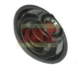 termostat-zetor-80005902-01