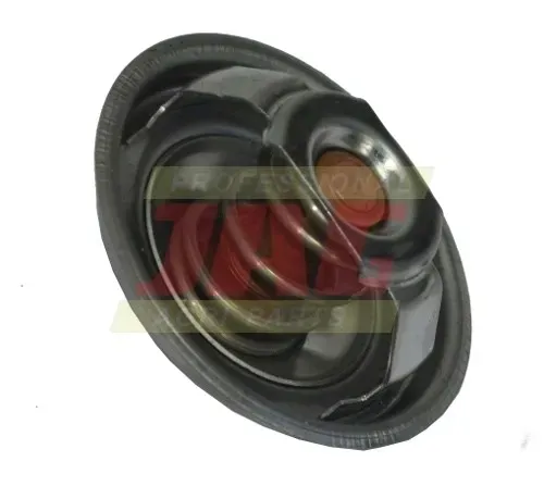 termostat-zetor-80005902-01
