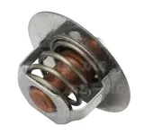 termostat-lamborghini-same-143-363-02
