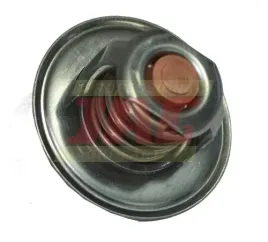 termostat-case-ih-mc-cormick-162000060701-02-162000060701