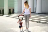 szelki-do-nauki-chodzenia-atest-lorelli-step-by-step-rozo-stan-nowy-maksymalna-waga-dziecka-13-kg