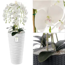 sztuczny-storczyk-orchidea-sylikon-kwiat-w-donicy-bialy-jak-zywy-h-115cm
